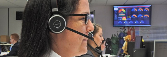 Lion Safety Call Centre Colleague