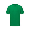 ORN Plover T-Shirt Kelly Green