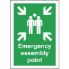 297X210MM EMERGENCY ASSEMBLY POINT - RIGID