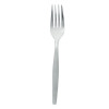 STAINLESS STEEL FORK PK/12