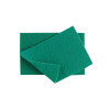 GREEN SCOURING PAD (X10)