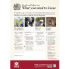 HEALTH & SAFETY LAW POSTER A2
